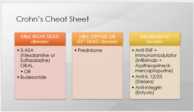 <p>prednisone </p>