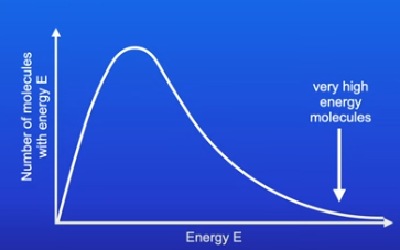 <ul><li><p>Shows the spread of energies that molecules of a gas, liquid or solution have at a particular temperature.</p></li><li><p>As you go up the Y-axis the number of molecules is higher </p></li><li><p>As you go across the X-axis the energy (molecules posses) increases </p></li><li><p>Very few molecules have high energy.</p></li></ul><p></p>