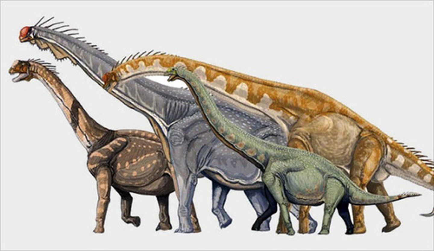 <p>the ability of an extremely large animal to maintain a constant and relatively high body temperature due to its low surface/volume ratio</p>