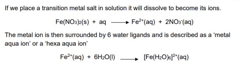 <ul><li><p>it will dissolve to become its ions </p></li><li><p>the metal ion is the surrounded by 6 water ligands</p></li><li><p>its described as a ‘metal aqua ion’ or ‘hexa aqua ion’ </p></li></ul><p></p>
