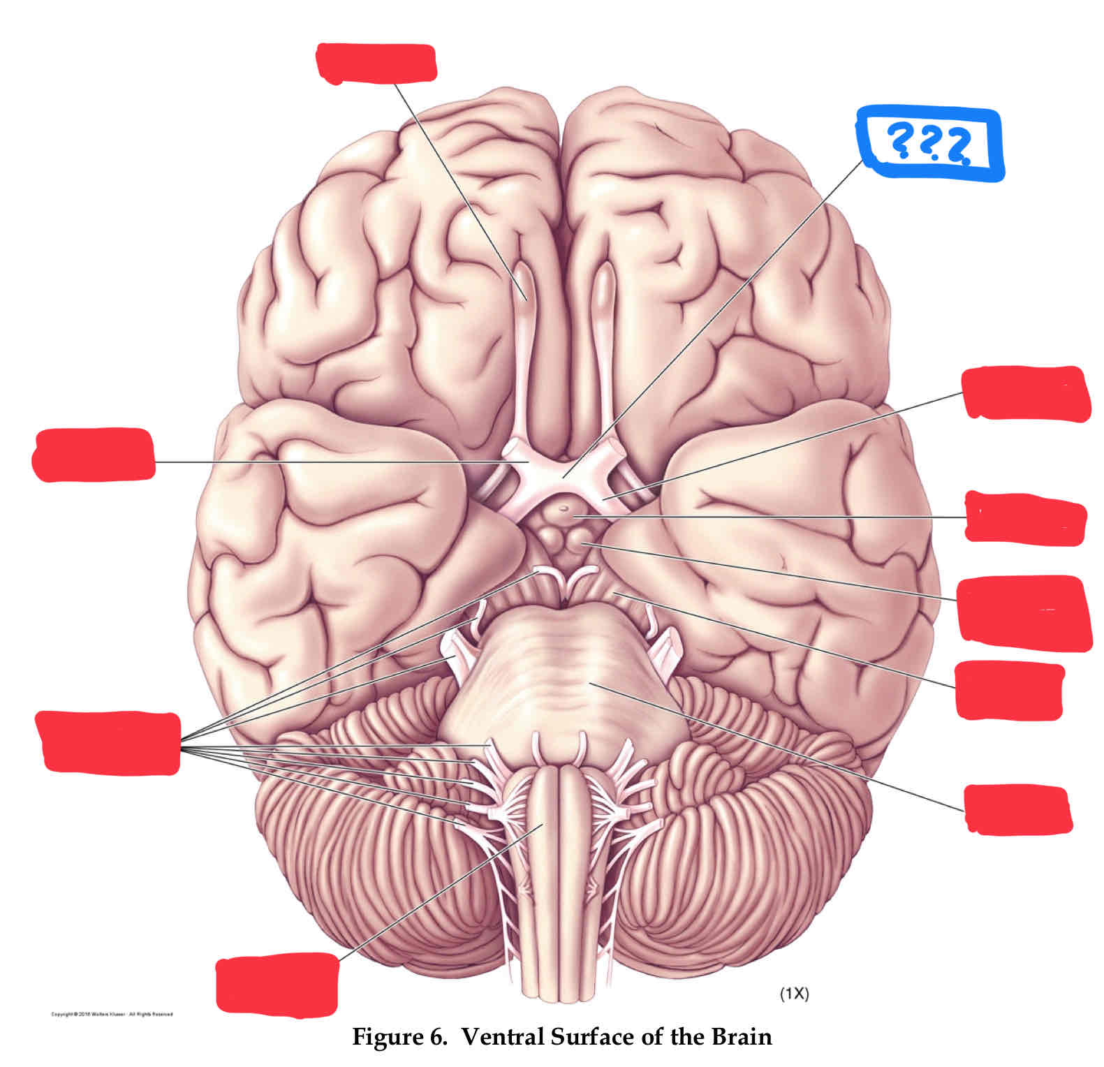 <p>vision</p>