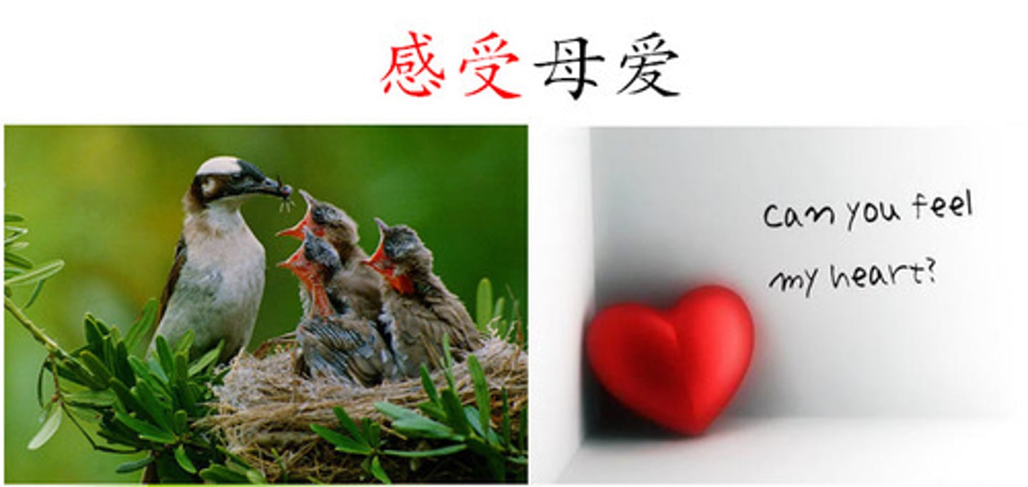 <p>cảm nhận/sự cảm nhận (đgt,dt)</p>