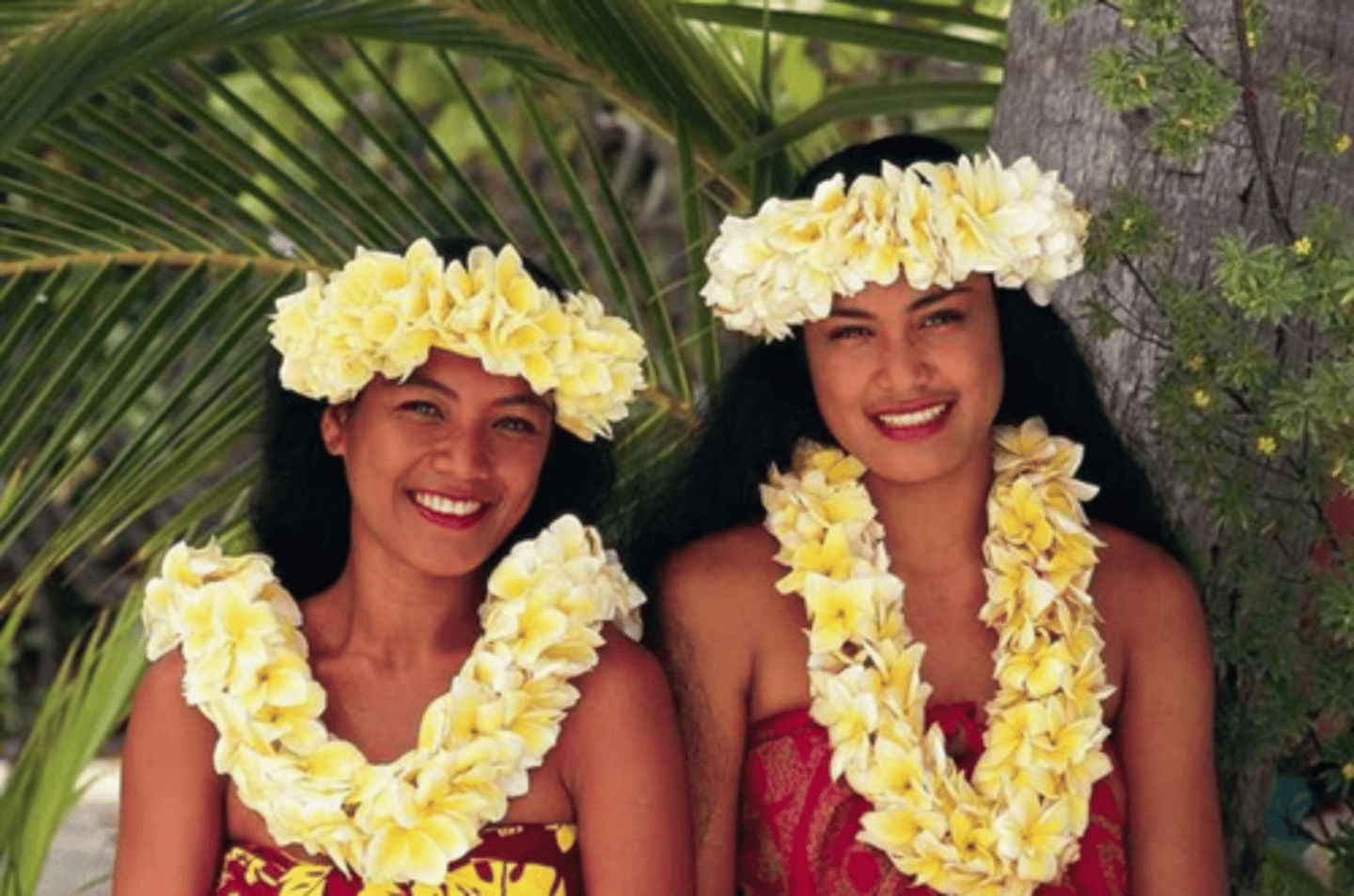 <p>a decorative rope of flowers or leaves (vòng hoa). Example: The children made garlands for the festival.</p>