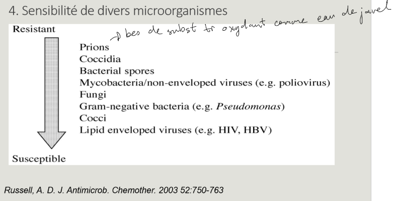 <p>coccidia = parasite</p>