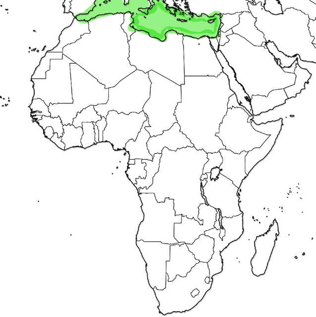 <p>What Ocean or Sea is this?</p>