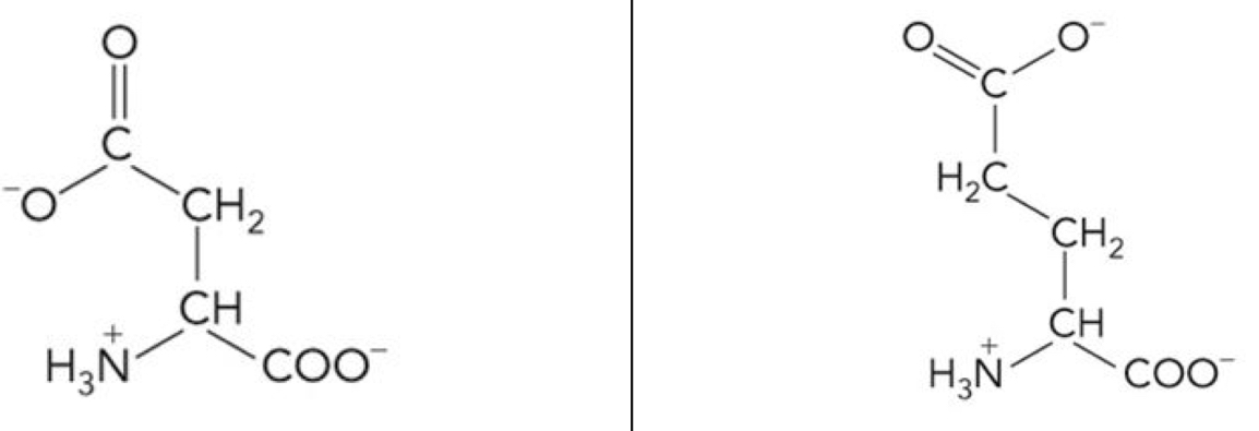 <p>What amino acid is this? 3-letter code? Characteristics? (Left to right)</p>