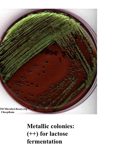 <p>What does metallic indict for EMB</p>