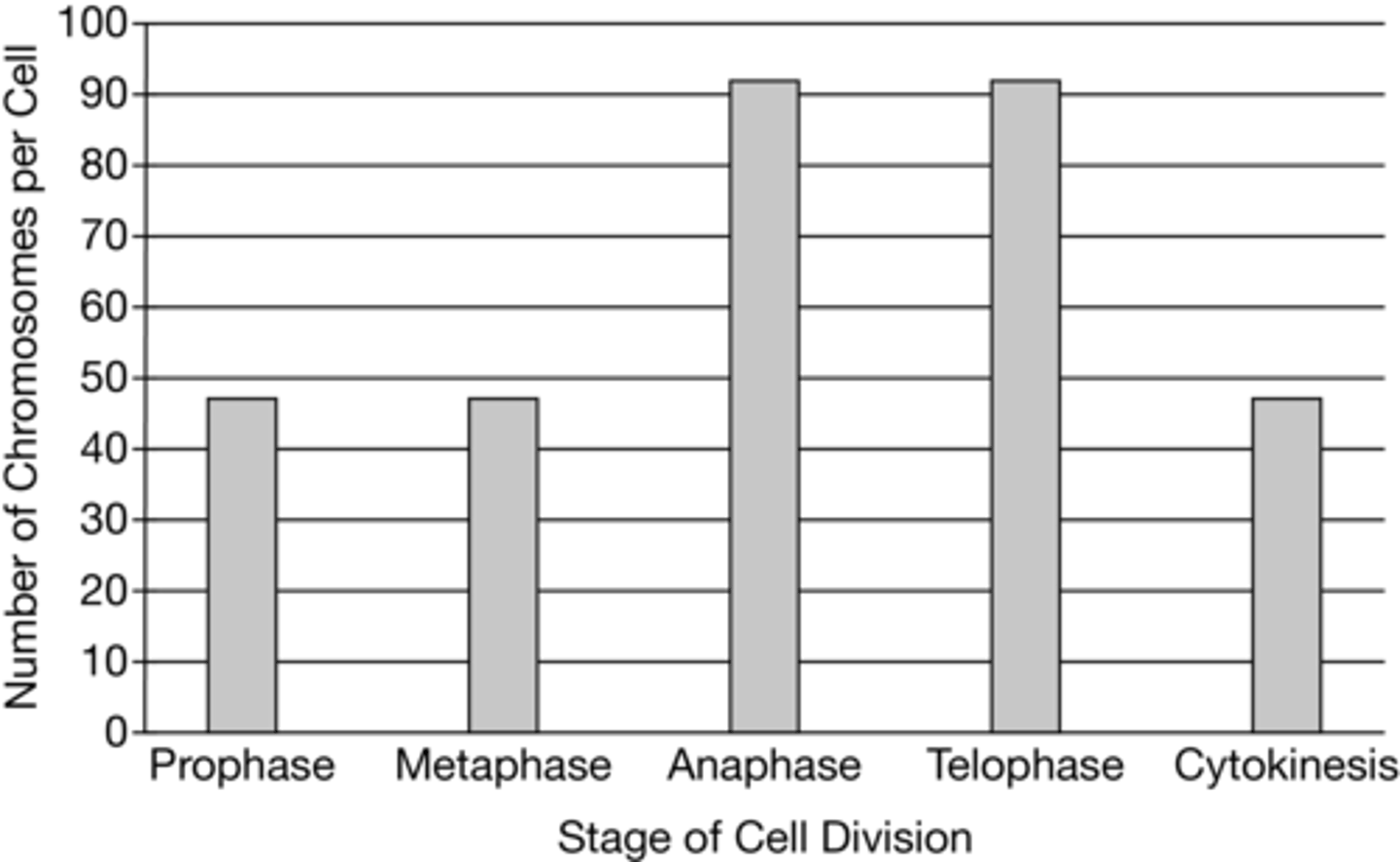 <p>C. Chromosomes enter metaphase containing two chromatids attached by a centromere. During anaphase, the chromatids are separated, each becoming a chromosome. Cytokinesis distributes the chromosomes into two separate cells.</p>
