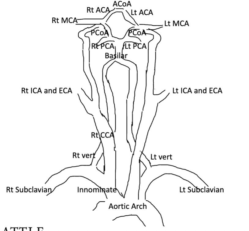 <p>Draw this out 3 times and label it </p>