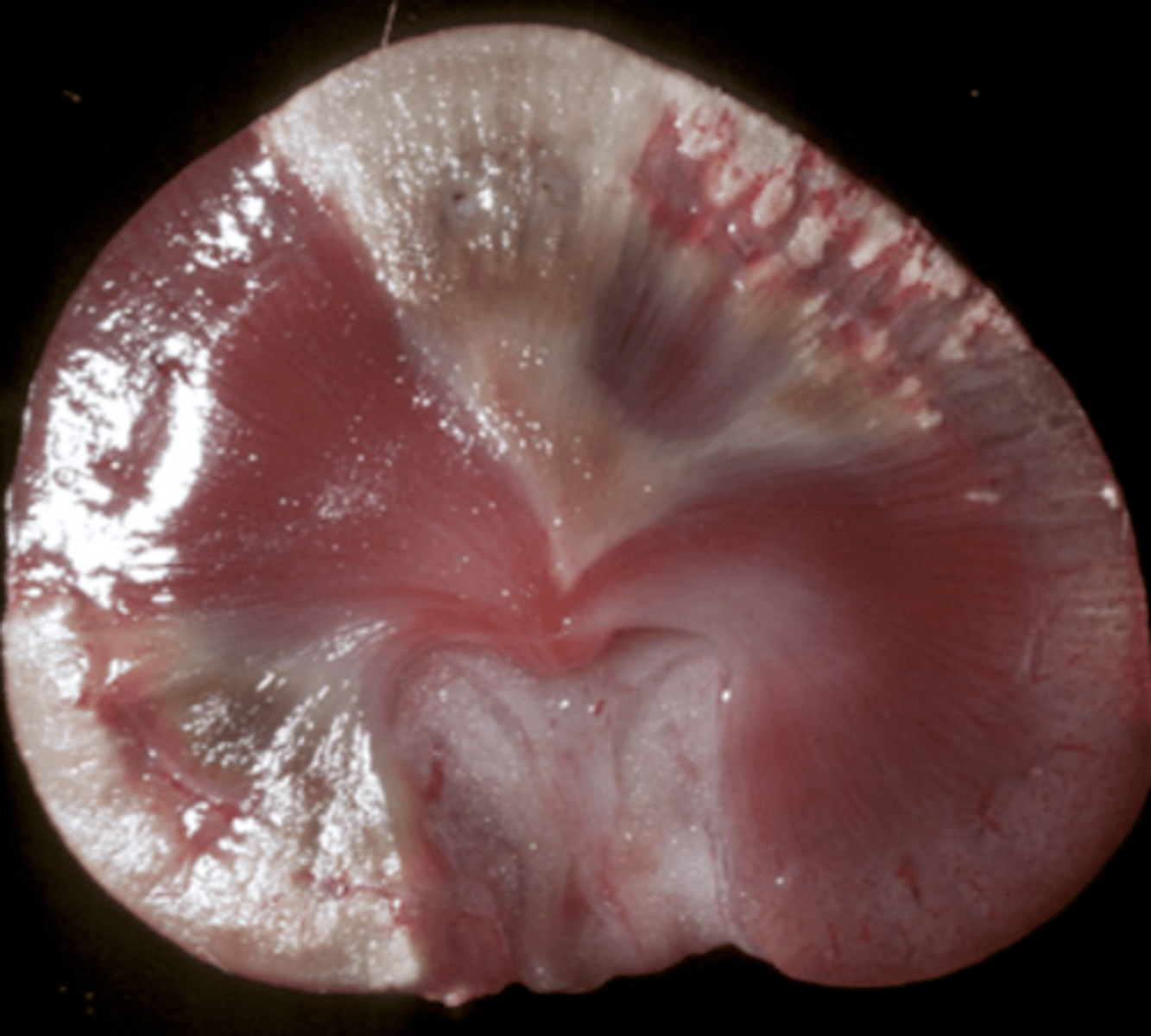 <p>What is being shown in this photo?</p>