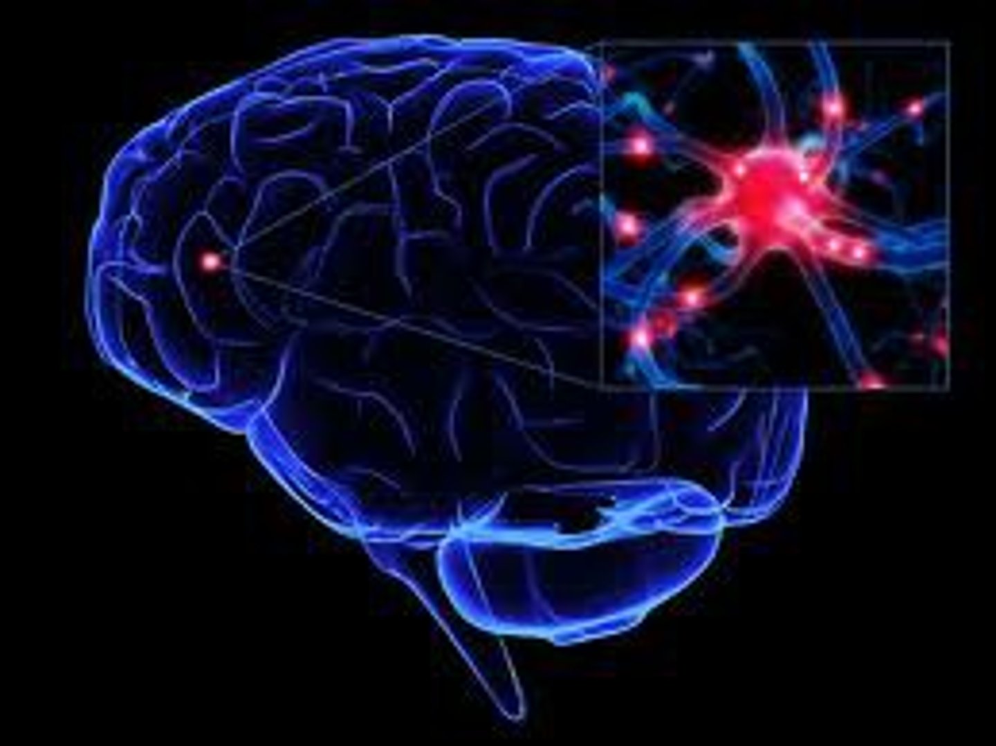 <p>The capacity for the brain to alter its structure and function.</p>