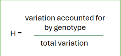 <p>Trait is how much is genetic and how much is something else (environment)</p>