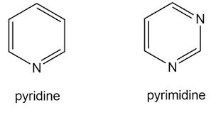 <p><strong>Ý nào sau đây </strong><span style="color: red"><strong>đúng</strong></span><strong> khi nói về cấu trúc của vòng pyrimidin</strong></p><p>A. Là vòng đơn, dẫn xuất pyrimidin tạo thành các base nitơ Adenine, Uracil, Cytosin</p><p>B. Là vòng đơn, dẫn xuất pyrimidin tạo thành các base nitơ Uracil, Cytosin, Thymine</p><p>C. Là vòng kép, dẫn xuất pyrimidin tạo thành các base nitơ Adenine, Uracil, Cytosin</p><p>D. Là vòng kép, dẫn xuất pyrimidin tạo thành các base nitơ Uracil, Cytosin, Thymine</p>