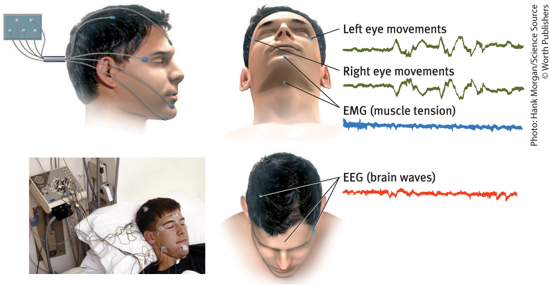 <p>How do sleep researchers measure brain wave activity, eye movements, and muscle tension?</p>