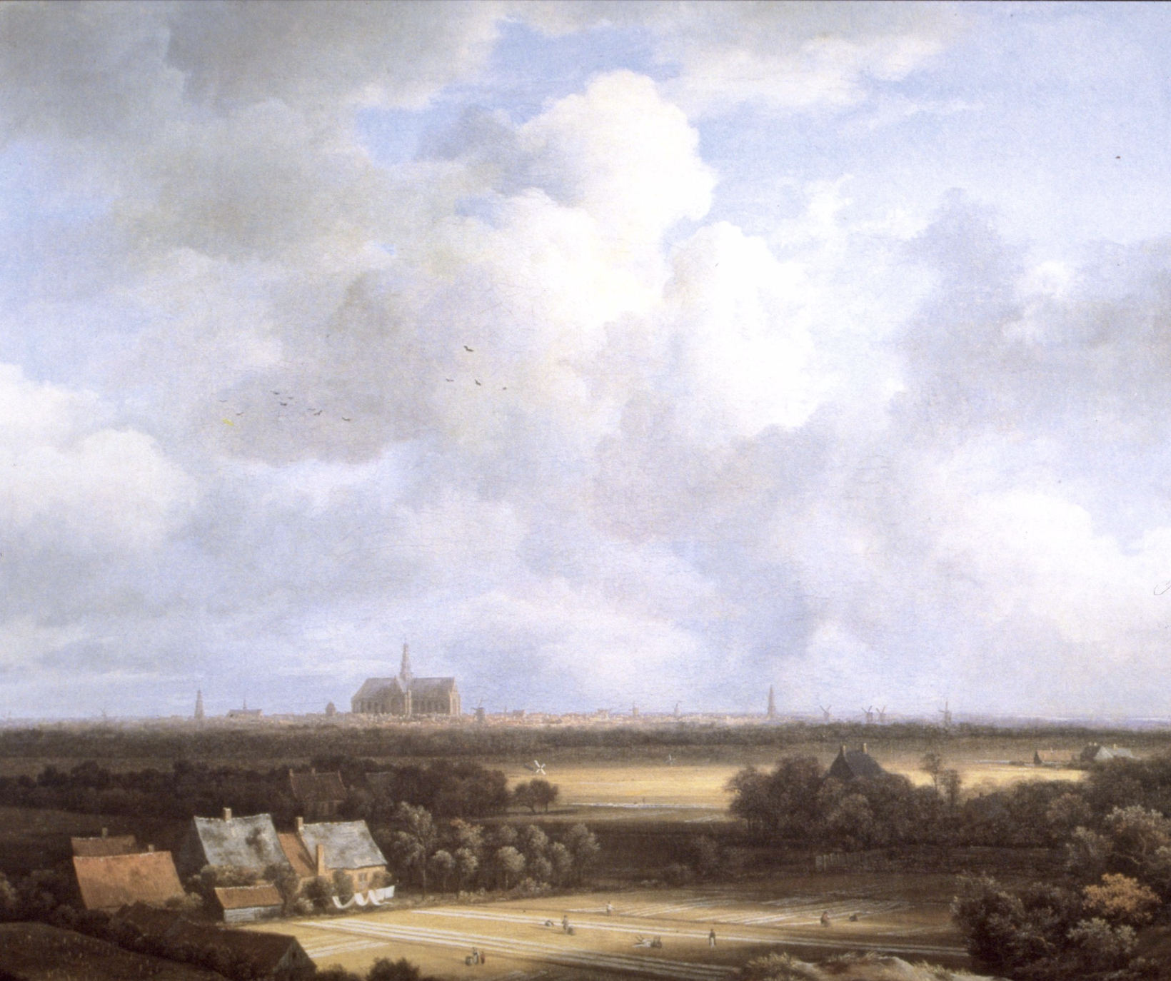 <p>Created for an art market based on speculation (smaller-scale painting since main audience is middle-class patrons). Features a church in the background, Protestant nation but 1/3 stayed Catholic and another 1/3 were other religions bcs of tolerant nature of this republic. Foreground showcases sand dunes but where the viewer is standing would be the sea, 2/3 of painting is sky. A lot of the Netherlands was below sea level so even though we are looking up, we see things below the horizon line. Linen was bleached in this area so there are fields of linen, may suggest this painting could have been a souvenir for people coming to visit. ___ were proud of their land because unlike most of Europe, 50% of the land was held by non-aristocratic people.&nbsp;</p>