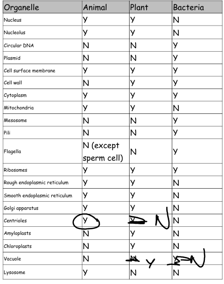 knowt flashcard image