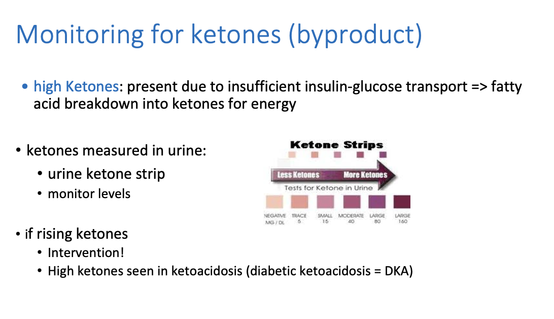 <p><strong>ketoacidosis</strong> (diabetic ketoacidosis = DKA)</p>