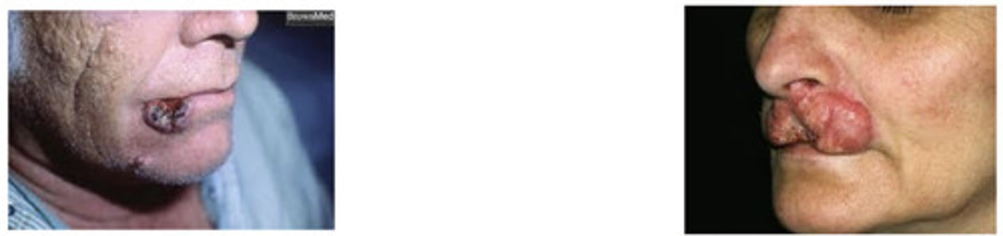 <p>What is this ?</p>