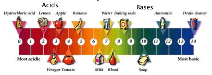 <p>pH Scale</p>