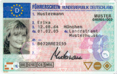 <p>driver&apos;s license</p>