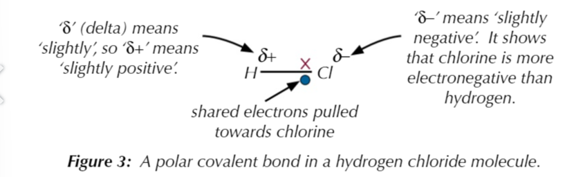 <p>…the bonding electrons are pulled towards the more electronegative atom making the bond polar so the greater the difference in electronegativity the more polar the bond</p>