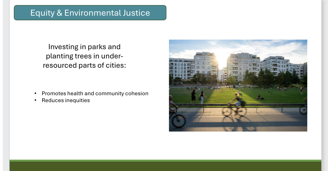 <p>Describe how to promote environmental justice when planting trees in a city </p>