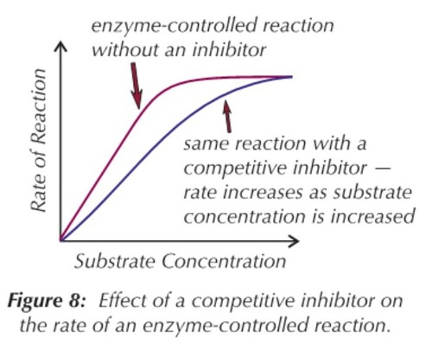 <p>The competitive inhibitors cause less E-S complexes to occur but increasing the substrate conc causes it to out-compete the competitive inhibitor.<br>Overall they will create the same number of E-S complexes but will take longer = lower rate.</p>