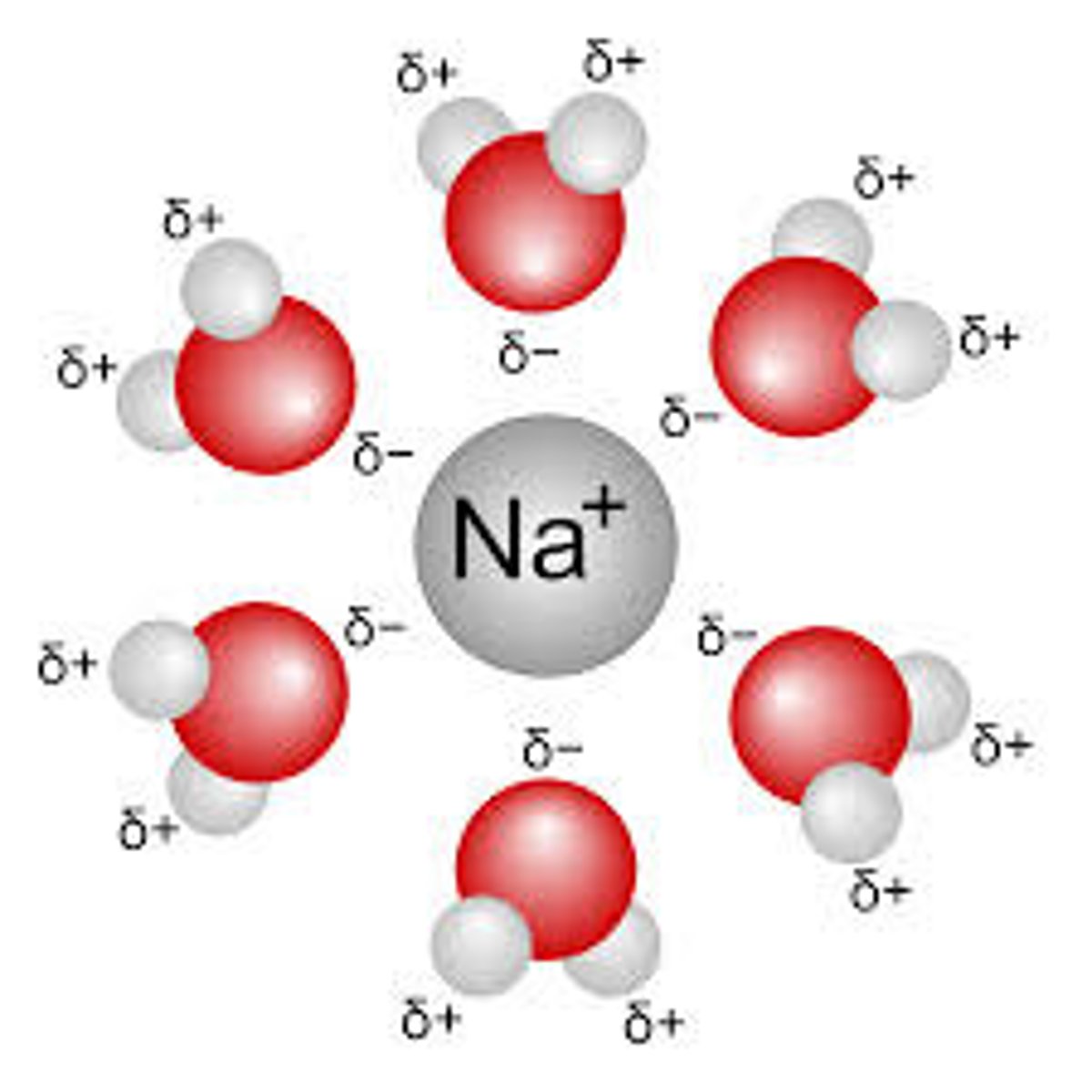 <p>Many things dissolve in water. Water's polar charges can keep other ions separated in solution</p>