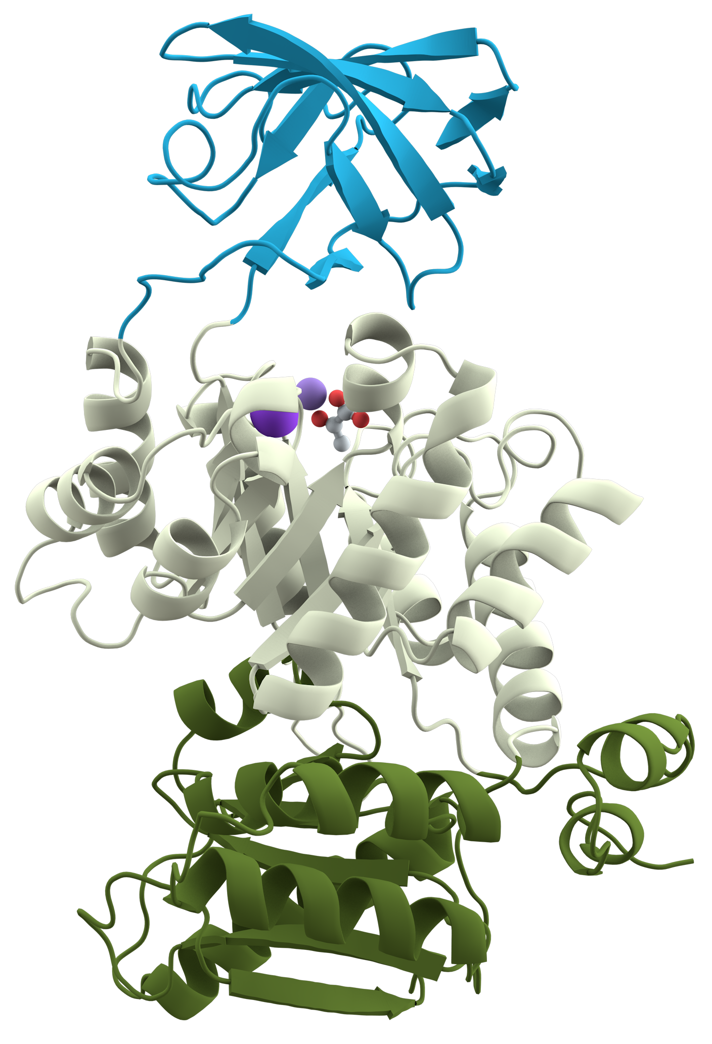 <p>Functional regions in the tertiary structure of proteins <span><span>composed of a specific combination of secondary structures</span></span></p><ul><li><p>Same domains can appear in different proteins</p></li></ul><ul><li><p>Most proteins have <strong>multiple domains</strong></p></li></ul><p></p>