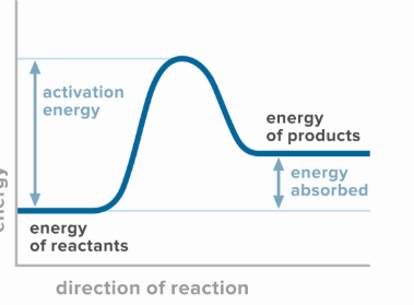 <p>Is this exothermic or endothermic?</p>
