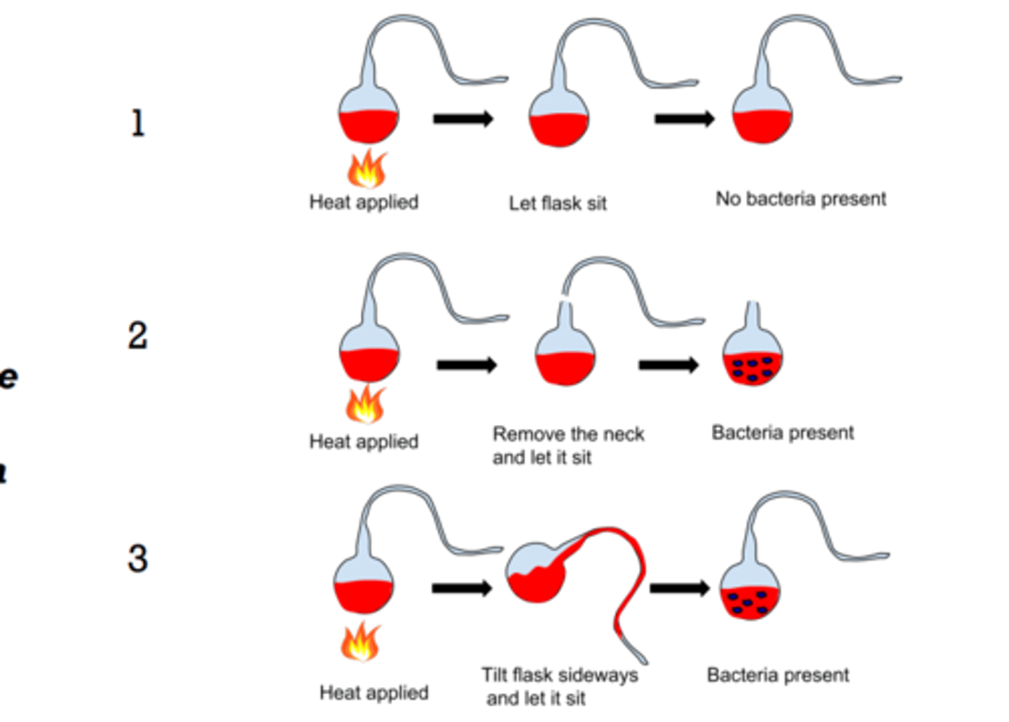 <p>Louis Pasteur (1856) - Why does beer and win spoil? Microorganisms! - they spoil AND ferment</p><p>• 1858 - Pasteur takes on challenge (2500 francs award)</p><p>• Observed that microbes from air got stuck in a cotton filter • Microbes vs "pneuma"?</p><p>Conclusion - Air did not introduce "life force" but rather, microorganisms</p>