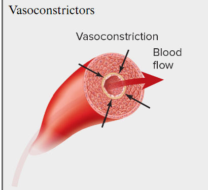 <p>What are Local substances of <u>Vasocontrictors</u>’’?</p>
