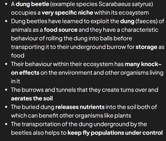 <p>role that species plays within ecosystem. encompasses where in environment the orgnaism is, how it gets its energy and how it interacts w other species and physical env. how org fits into ecosystem</p>