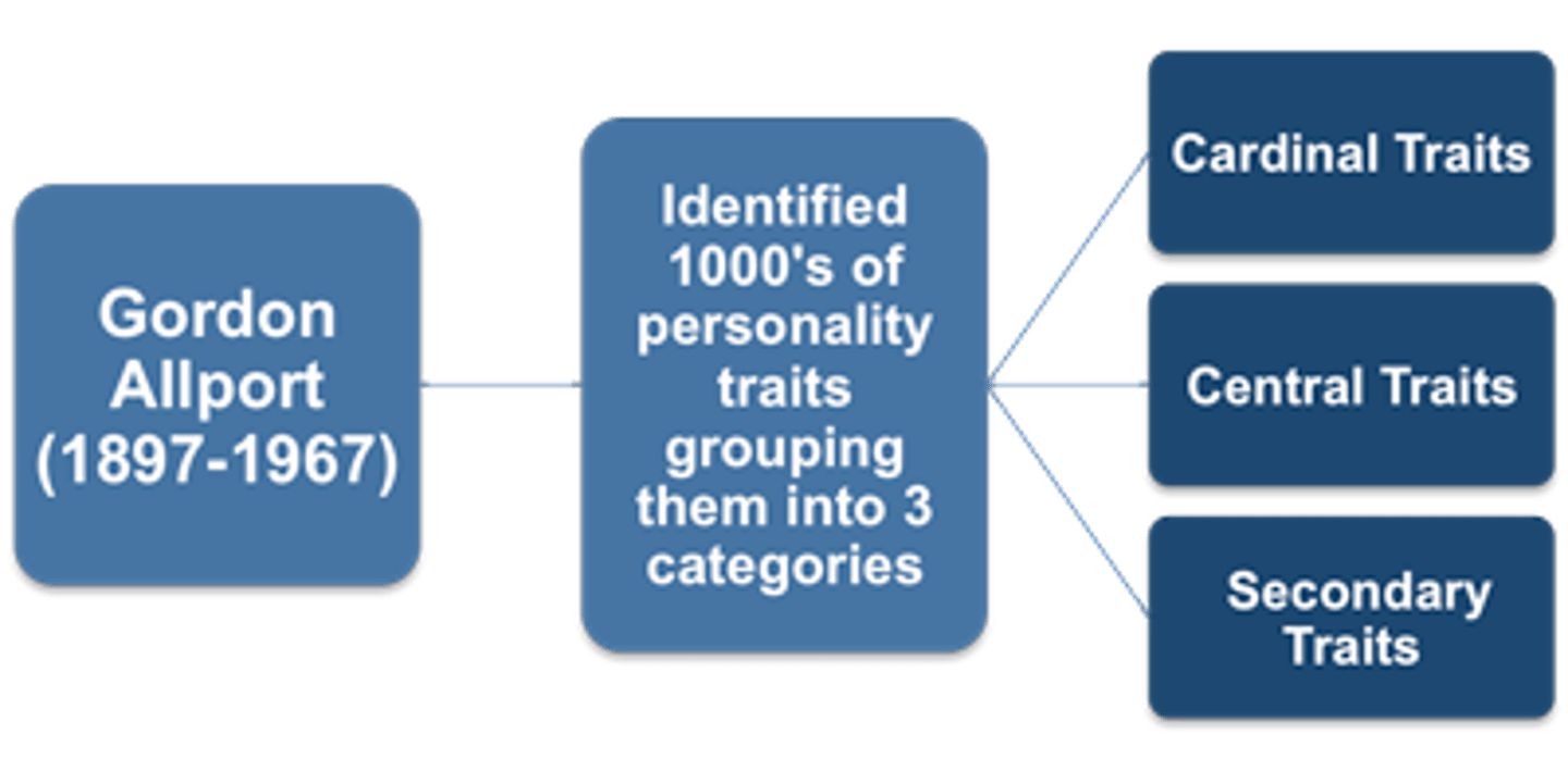 <p>(C) Gordon Allport</p><p>Gordon Allport believes that there are over 4500 different traits, but that some are more important than others (i.e. Cardinal Traits being more important than Central or Secondary Traits).</p>