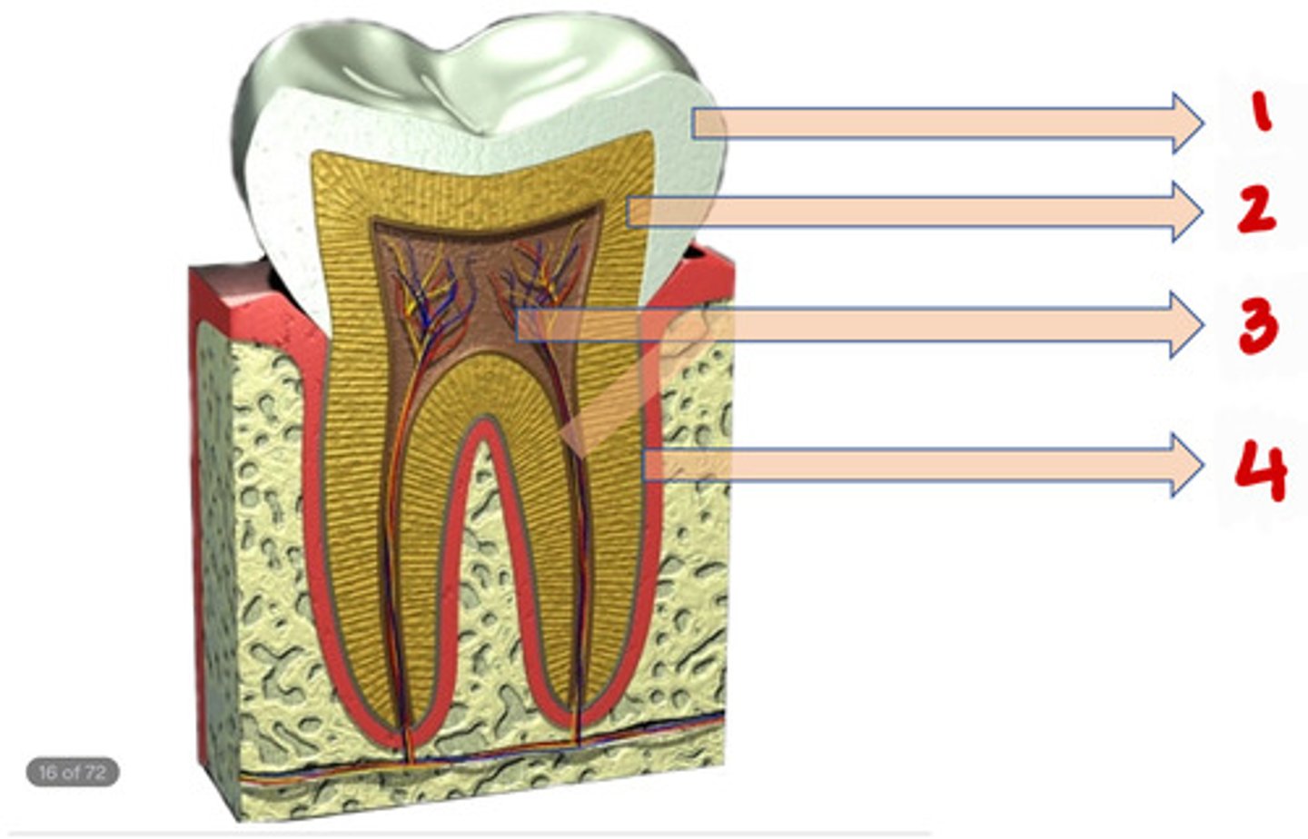 knowt flashcard image
