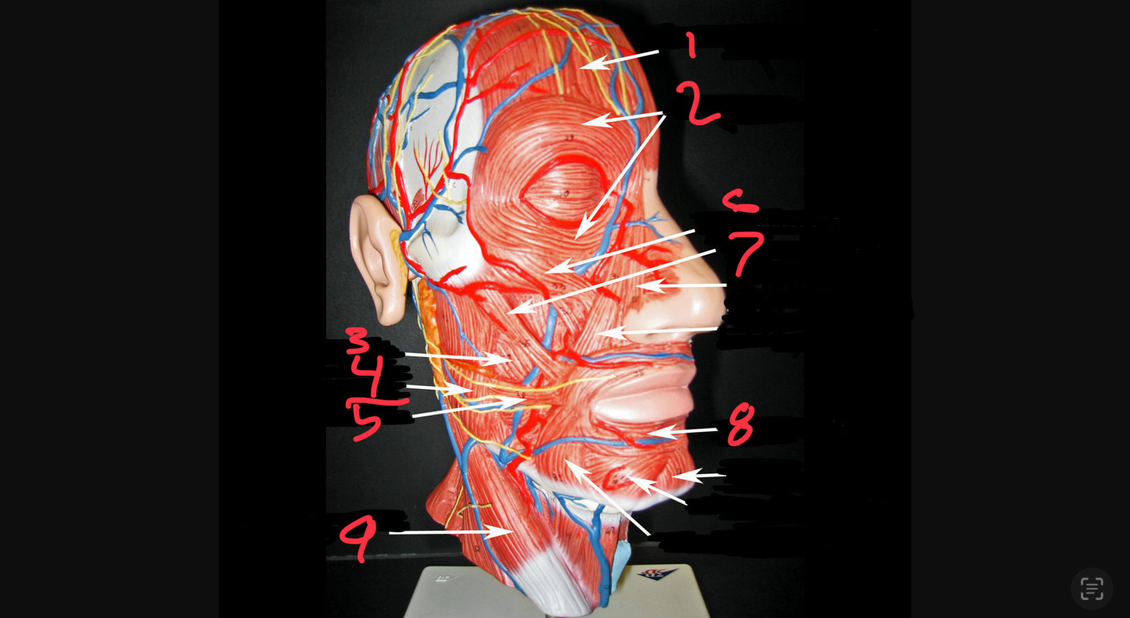 <p>what is #4</p>