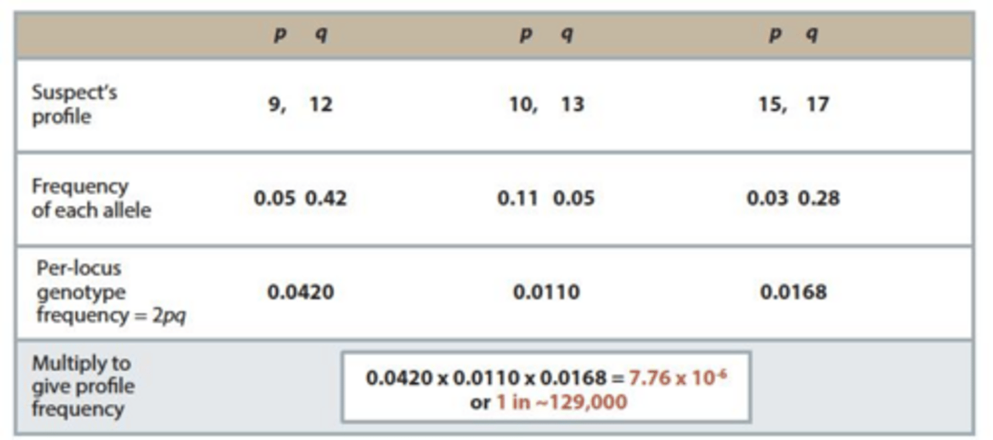 <p>As a digital string of numbers representing the allele counts at specific STR loci.</p>