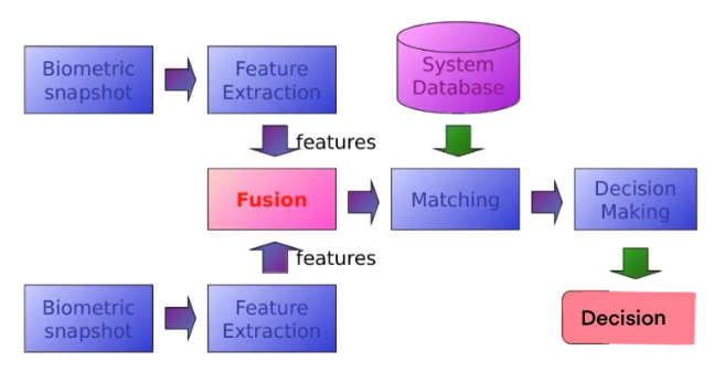 Fusion at the feature level