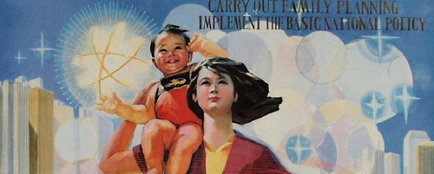 <p>A program established by the Chinese government in 1979 to slow population growth in China.</p>