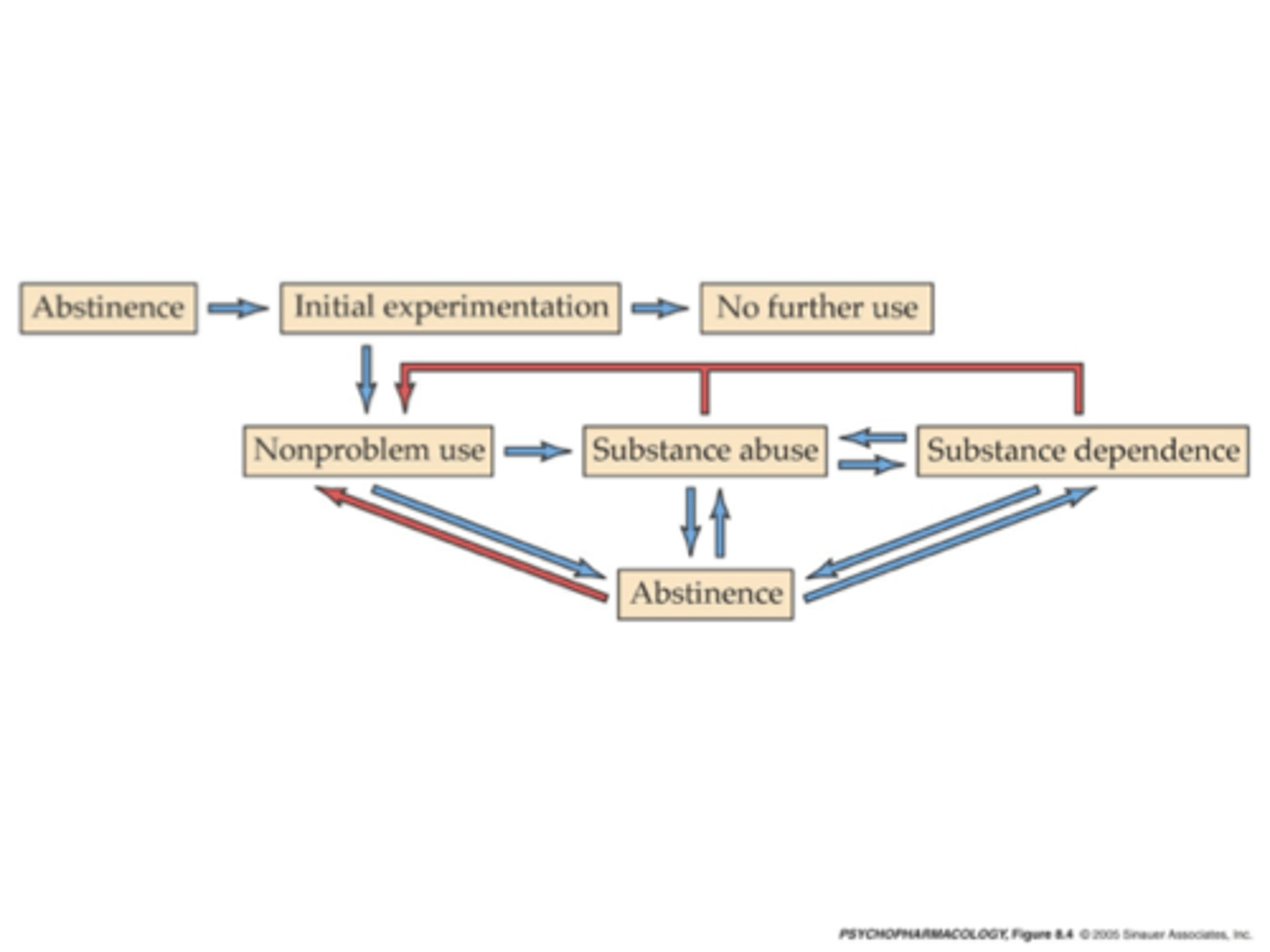 <p>When first use a drug can move anywhere along continuum</p><p>Even hard-drugs are not instantly/automatically addictive</p><p>People can move in all directions along continuum</p><p>People with drug addiction shift along the continuum, shifts vary greatly between people</p>