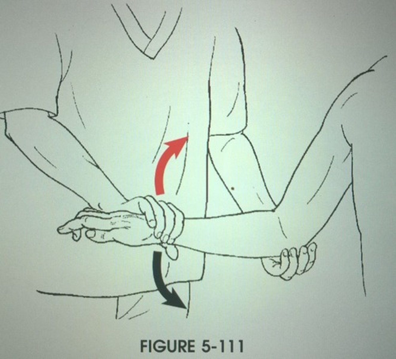 <p>Muscles that pronate the forearm</p>