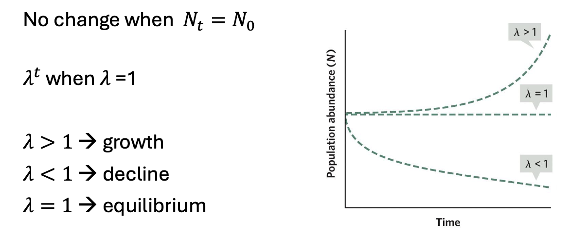 <p>The growth rate over a defined time period (how quickly population is growing or declining)</p><p>Usually one year for organisms that breed once per year.</p>