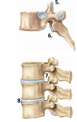 <p>6</p>