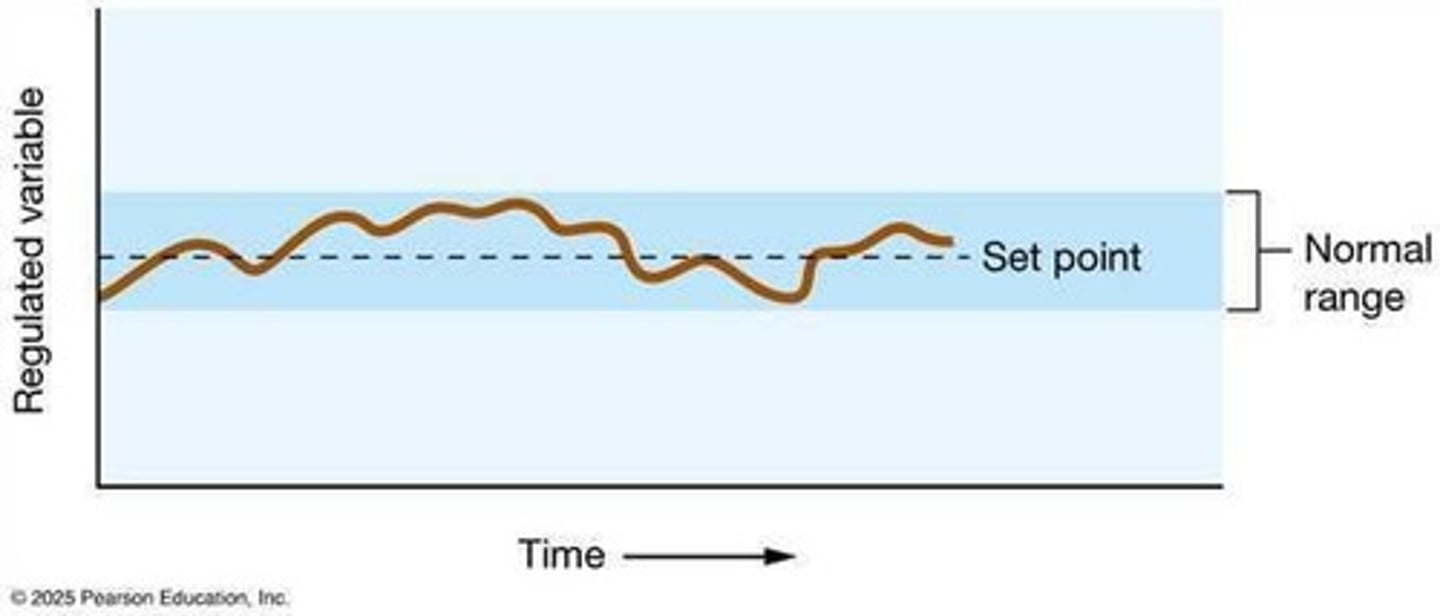<p>Differences in concentration or electrical charge.</p>