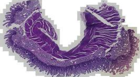 <p>What is this?</p>