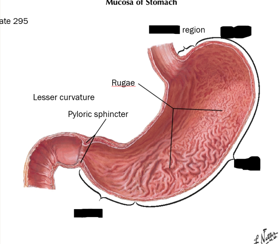 <p>label these structures<br></p>