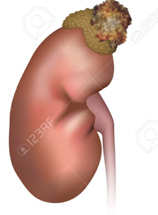 <p>What does this image depict? </p>
