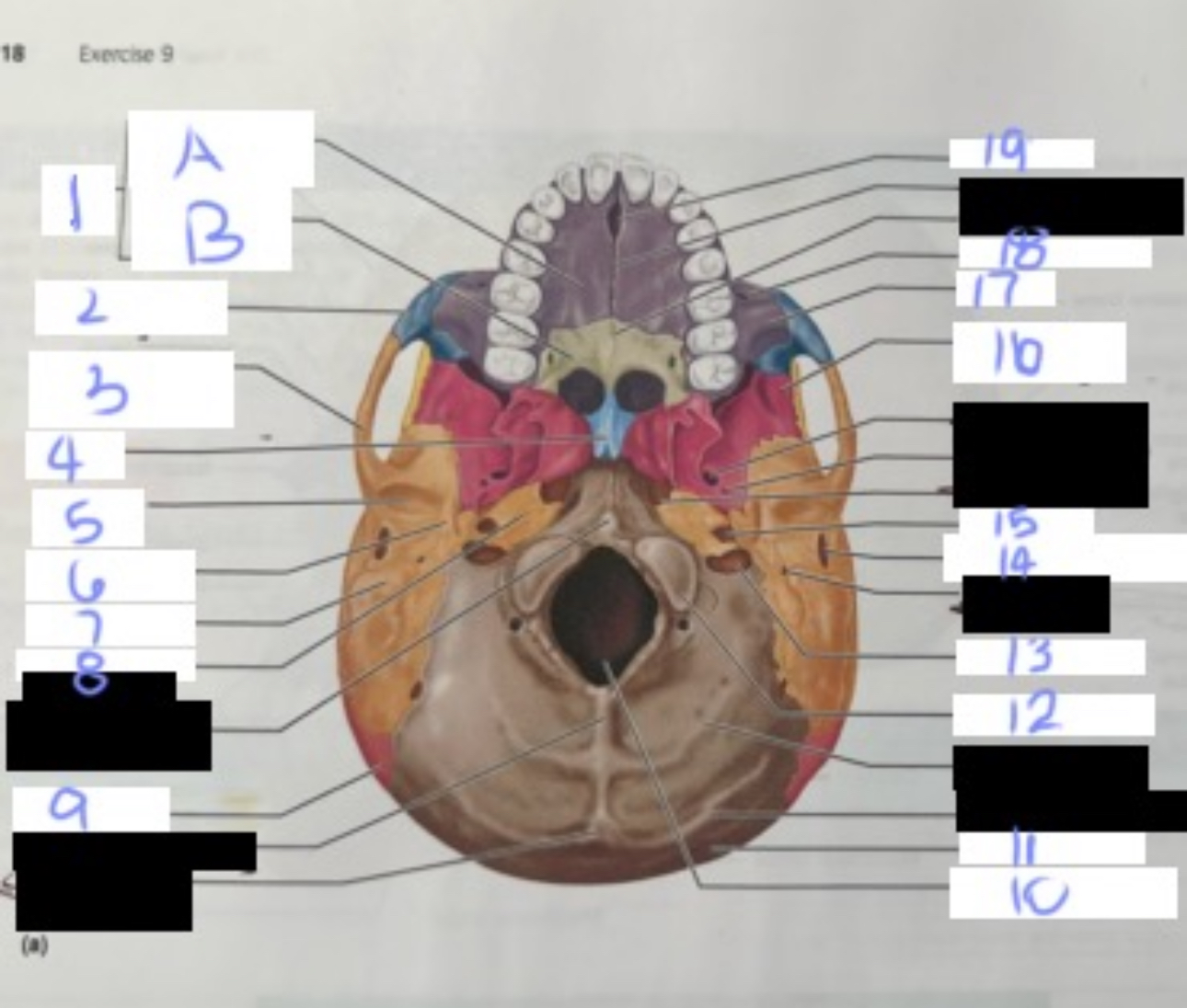 <p>what is 14</p>