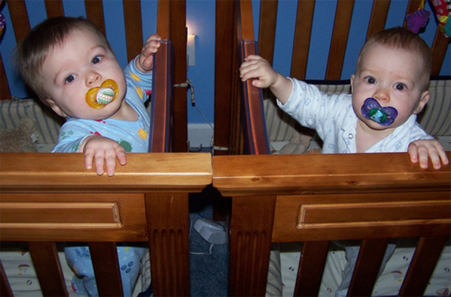 <p>twins that originate from the fertilization of two eggs at approximately the same time (two zygotes).</p>