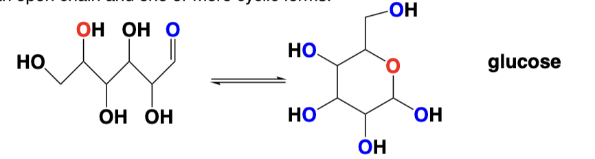 <p>4-6 carbon molecules with multiple alcohol groups &amp; a single aldehyde OR ketone group</p>